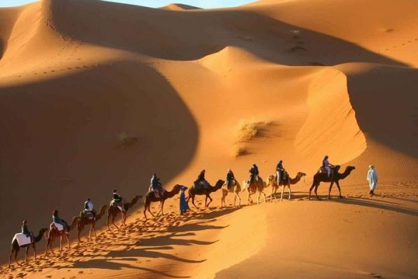 Camel trek in the Atlas Mountains and the sand dunes