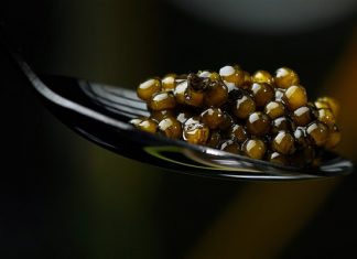 The World’s Most Expensive Caviar The World's Most Expensive Caviar