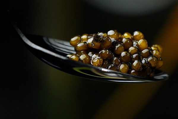 The World's Most Expensive Caviar - Foodie Faculty