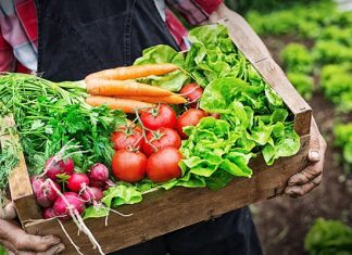 What is Agritourism? A Comprehensive Guide What is Agritourism?