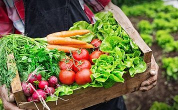 What is Agritourism? A Comprehensive Guide What is Agritourism?