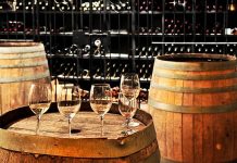 What is a Wine Tour? 12 Different Types of Wine Tours What is a Wine Tour?