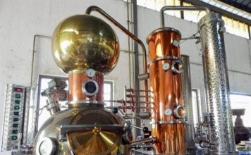 The Art of Gin Making: Crafting the Quintessential Spirit The Art of Gin Making